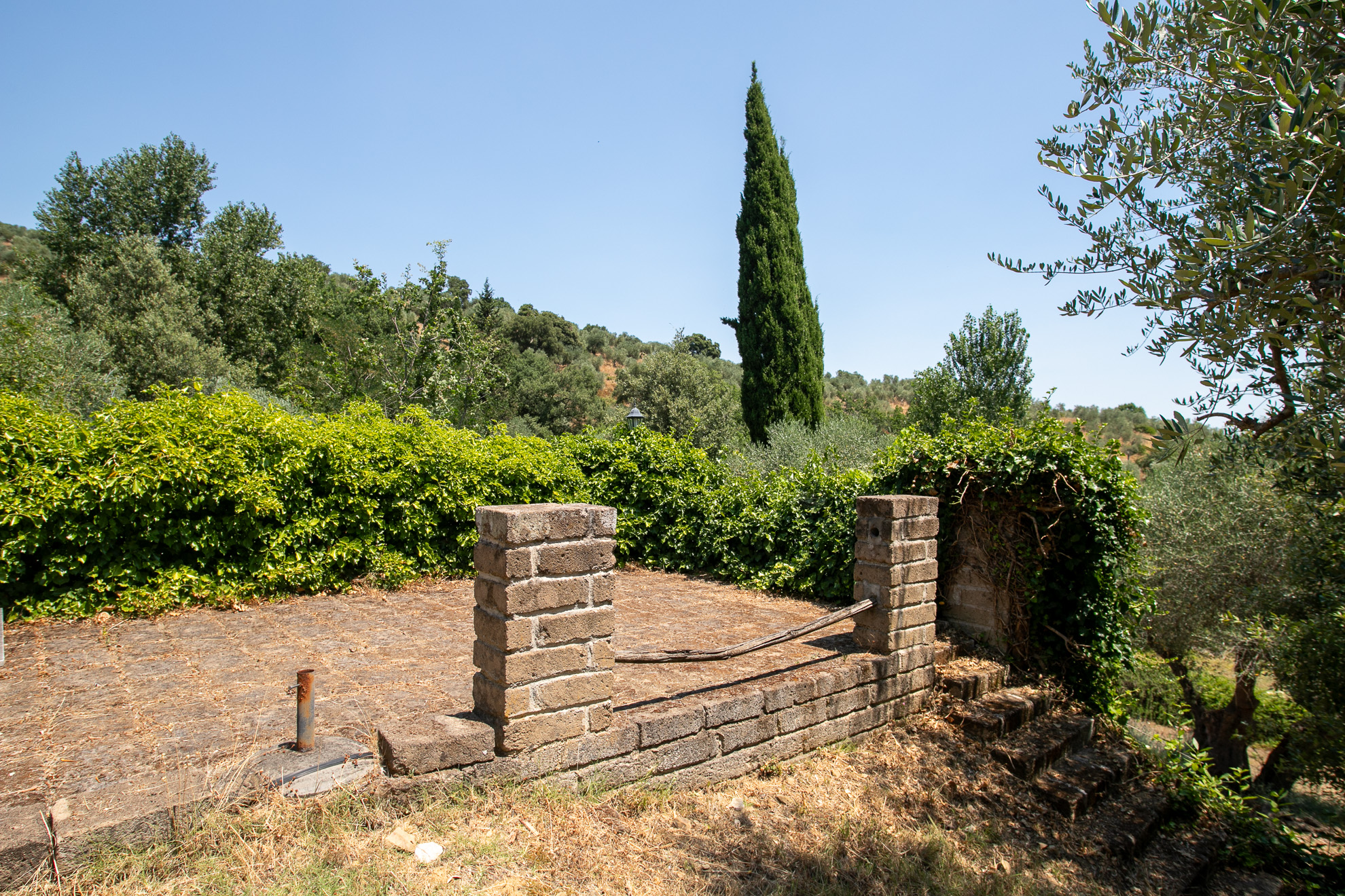 Immobile a Castiglione della Pescaia – foto 35