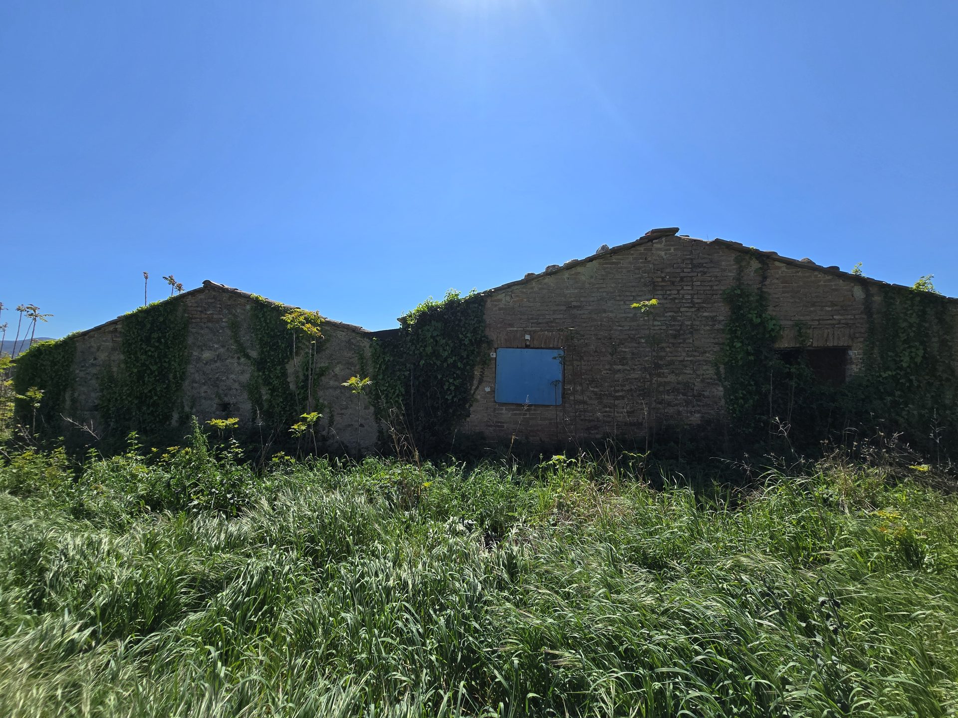 Immobile a Roccastrada – foto 13