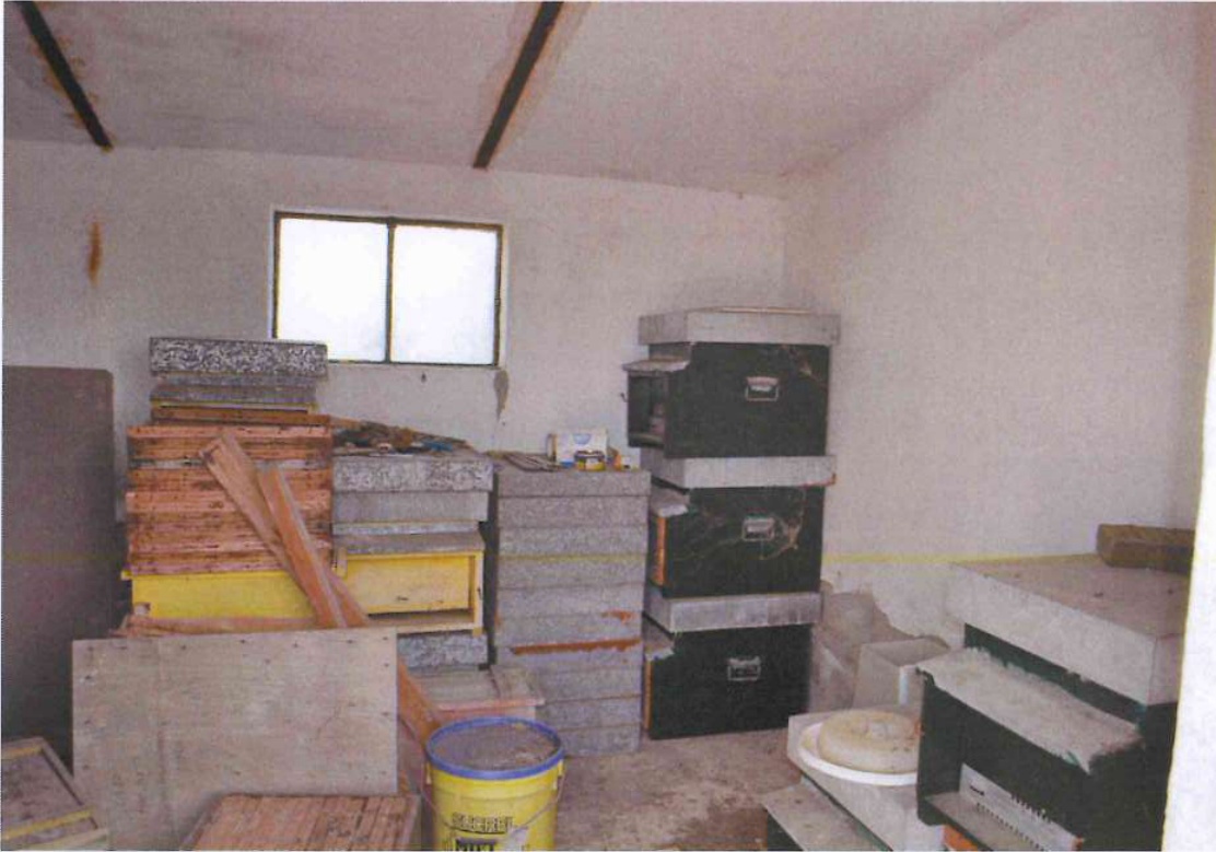 Ottimo affare – foto 30